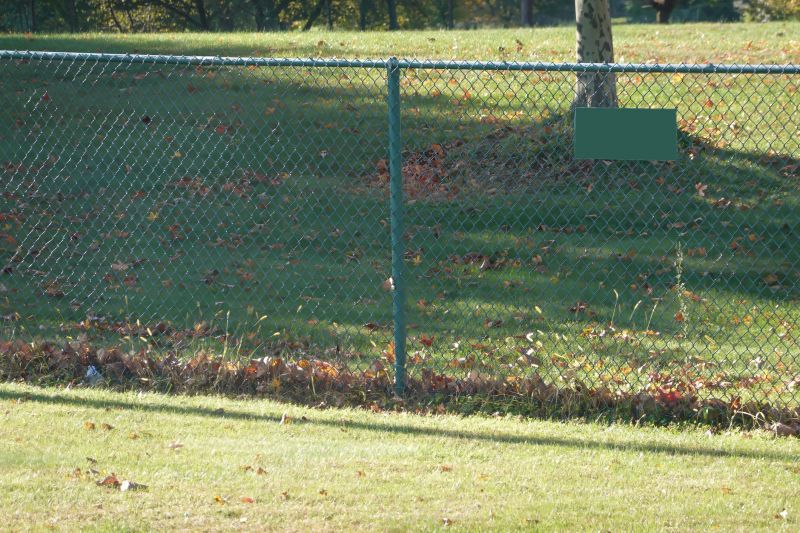 Fence Repair in Fall